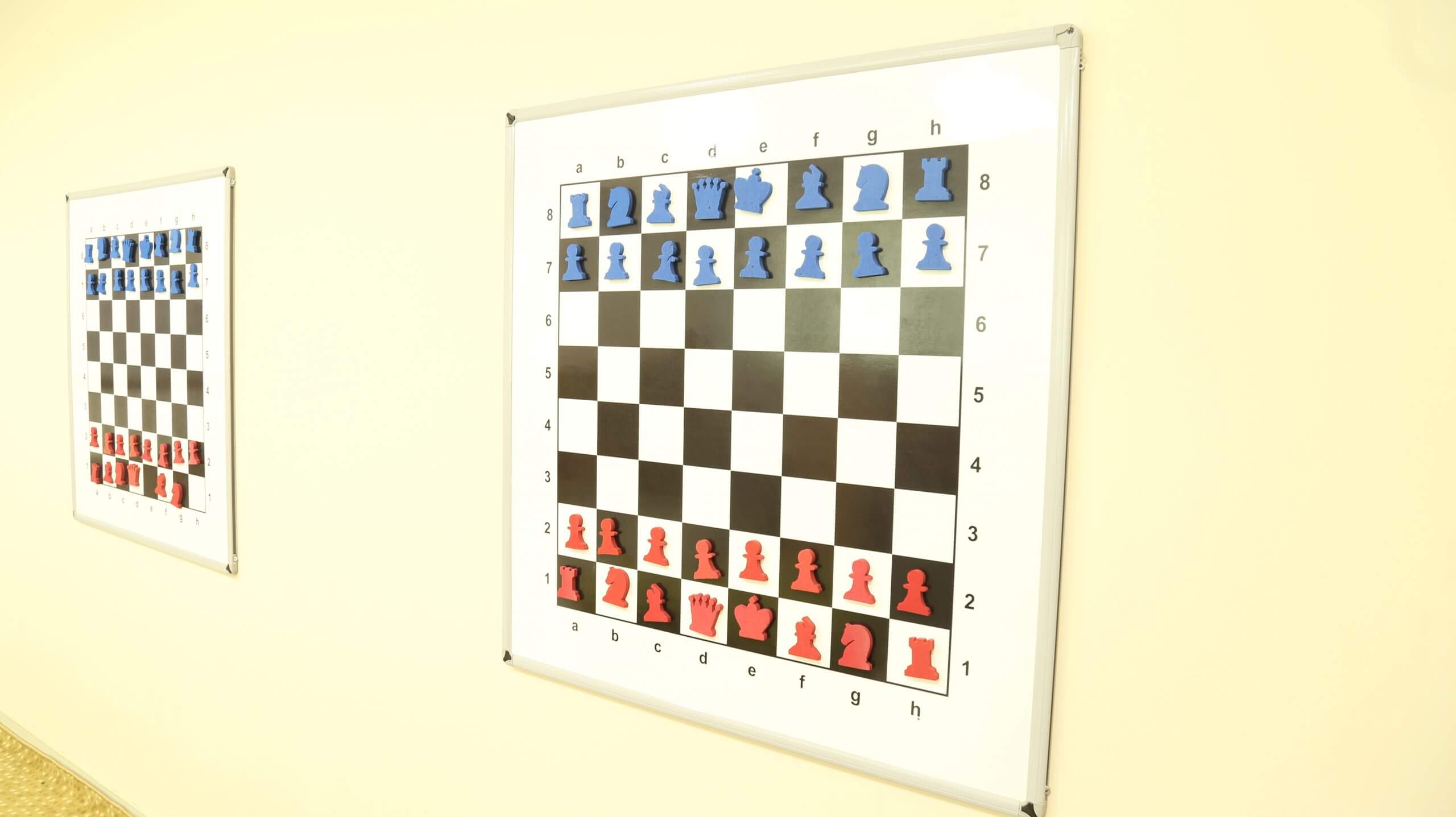 IMG_0538